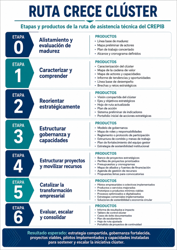 ruta crece cluster